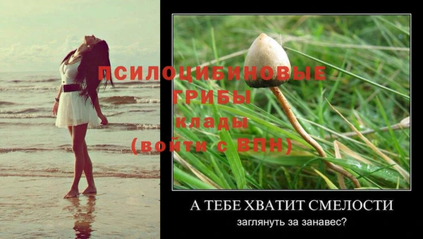таблы Беломорск