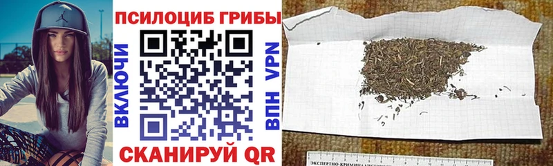Галлюциногенные грибы прущие грибы Короча